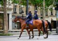 Un cheval en cavale finit au commissariat de Dole : "Non, monsieur l'agent, je n'ai rien bu !"