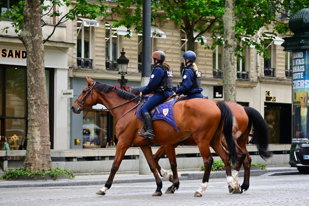 Un cheval en cavale finit au commissariat de Dole : "Non, monsieur l'agent, je n'ai rien bu !"