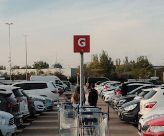 Une truie vietnamienne fait son shopping au Leclerc : l'incroyable découverte dans l'Allier