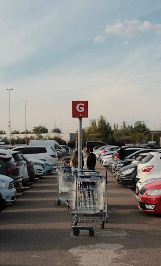 Une truie vietnamienne fait son shopping au Leclerc : l’incroyable découverte dans l’Allier