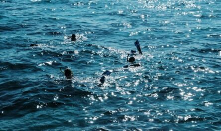 2 400 Givrés Plongent dans une Eau à 8 Degrés pour Fêter le Nouvel An : Courage ou Pure Folie ?