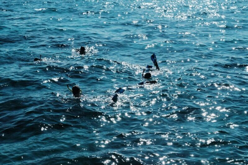 2 400 Givrés Plongent dans une Eau à 8 Degrés pour Fêter le Nouvel An : Courage ou Pure Folie ?