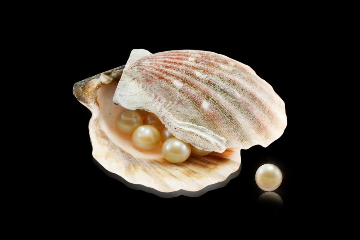 Noël 2025 : Elle croque une huître et tombe sur LE jackpot (1 chance sur 10 000 !)