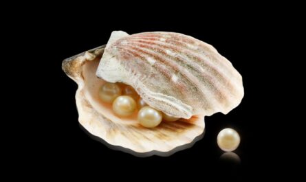 Noël 2025 : Elle croque une huître et tombe sur LE jackpot (1 chance sur 10 000 !)