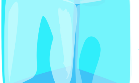 Quand le ciel breton a littéralement déversé... des toilettes d'avion sur une maison