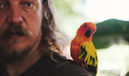 Quand un perroquet décide de devenir coach sportif : l'entraînement le plus insolite de l'année