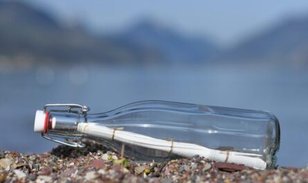 Un ballon mystérieux s'échoue sur une plage anglaise avec une lettre d'enfants du 19ème siècle