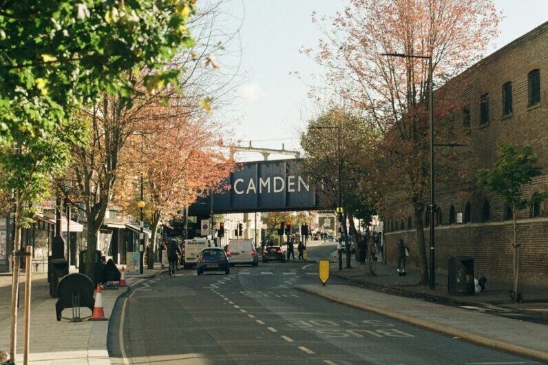 Vanille le wallaby fait sa tournée bordelaise : deux mois de cavale pour finir dans une cage à foin
