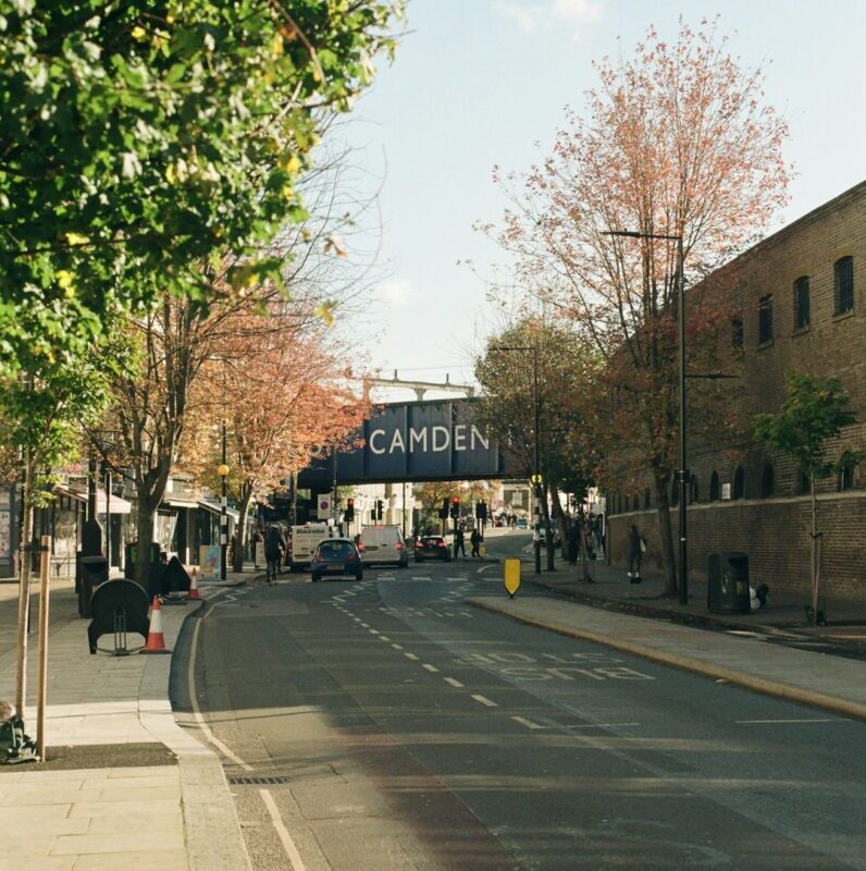 Vanille le wallaby fait sa tournée bordelaise : deux mois de cavale pour finir dans une cage à foin