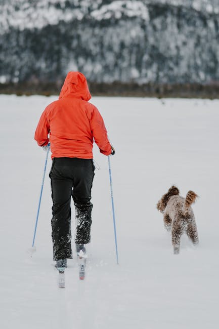 Aux JO 2026, un chien-loup a tenté de se qualifier en ski de fond (et franchement, il avait le niveau)