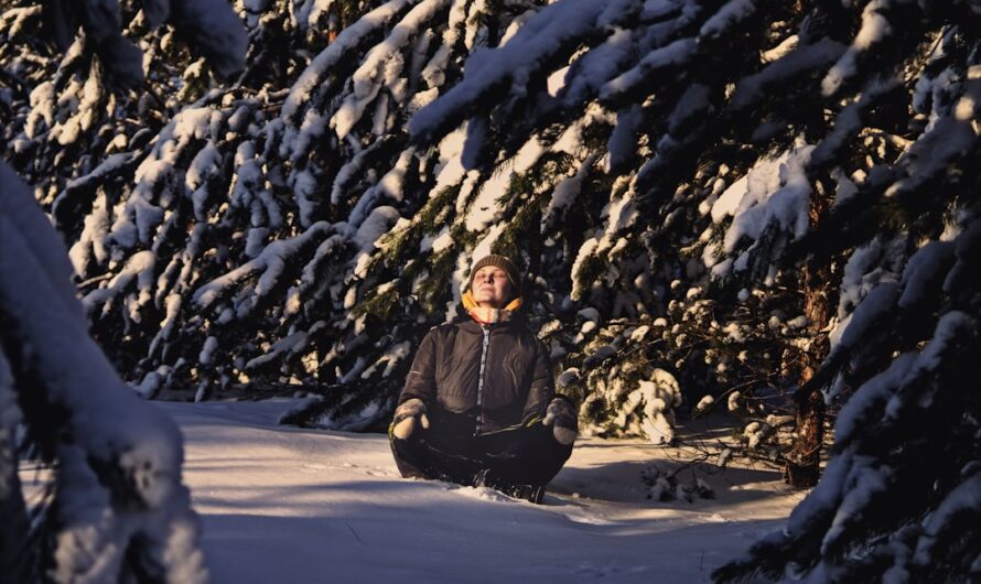 Cet archéologue serbe médite en short dans la neige à -10°C (et il adore ça !)