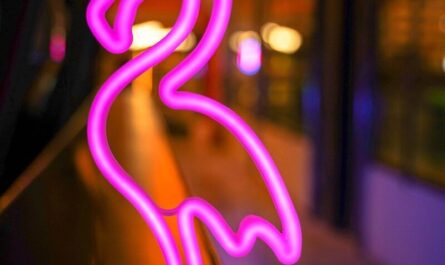 Jim Carrey parle français aux César 2026… pendant que Béatrice Dalle raconte comment elle a « braqué » le buffet des Trump