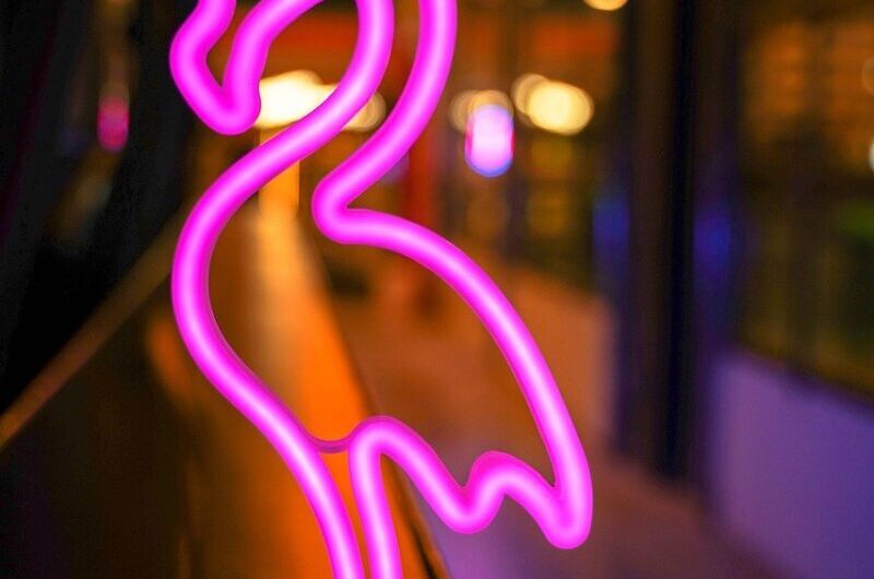 Jim Carrey parle français aux César 2026… pendant que Béatrice Dalle raconte comment elle a « braqué » le buffet des Trump