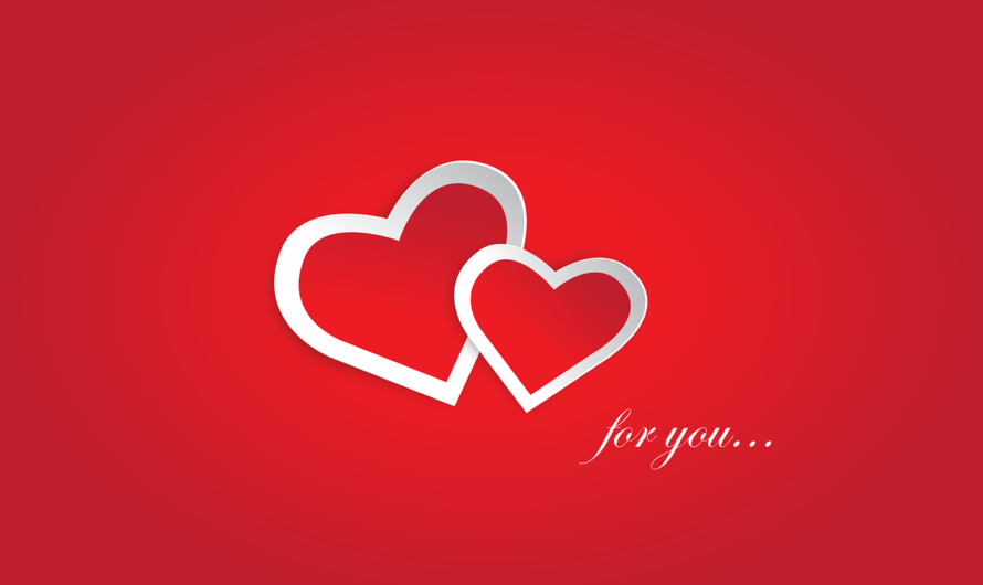 Quand le rugby se transforme en comédie romantique : la love story improbable entre Castres et Montpellier