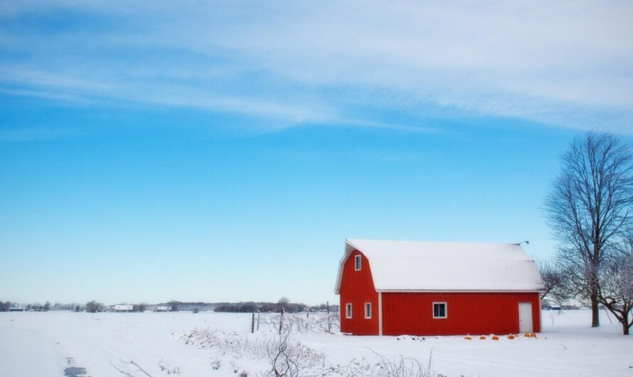 Quand Macron parque les journalistes dans une étable : la visite présidentielle qui fait meuh-gir