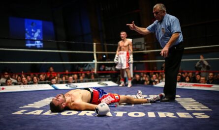 Quand un boxeur confond le shampoing de maman avec de la crème dépilatoire : le combat le plus décoiffant de l'année !