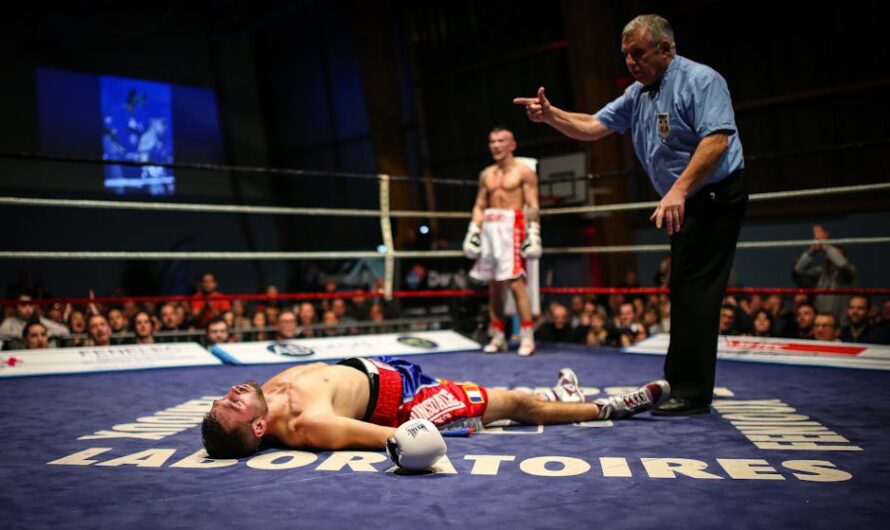 Quand un boxeur confond le shampoing de maman avec de la crème dépilatoire : le combat le plus décoiffant de l&rsquo;année !