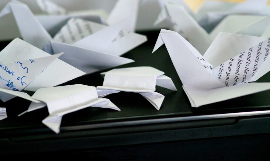 Municipales 2026 : l’électeur qui a tenté le vote… en avion en papier