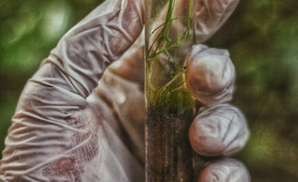 À Nantes, on enterre des slips pour sauver la planète (et ce n’est pas une blague)