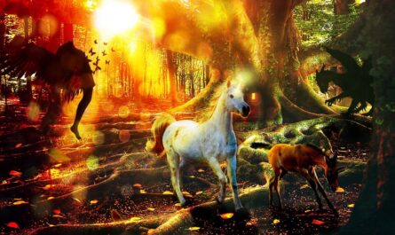 France Travail finance des stages pour parler aux elfes… et oui, ce n’est pas une blague