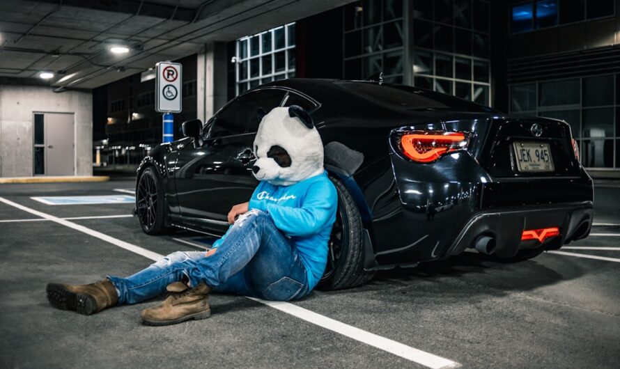 Ils ont engagé un faux ours pour détruire leurs voitures… et l’assurance a flairé l’arnaque