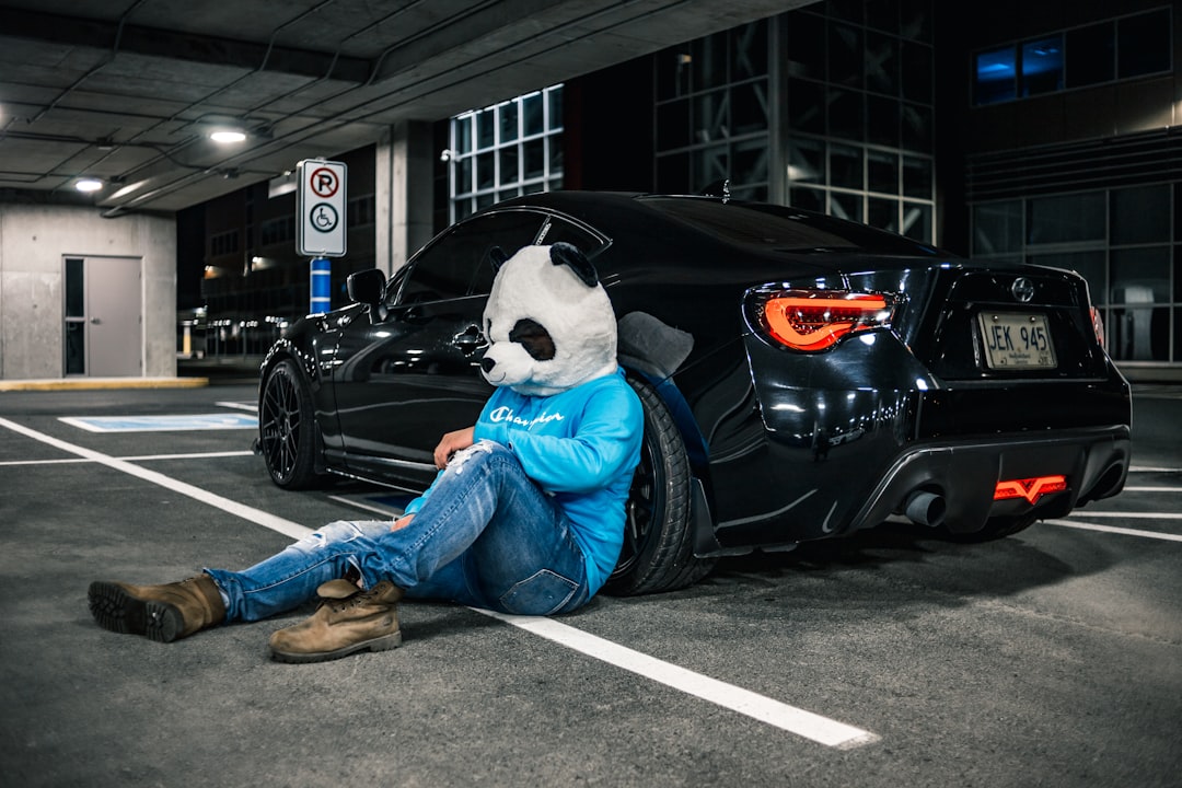 Ils ont engagé un faux ours pour détruire leurs voitures… et l’assurance a flairé l’arnaque