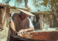 À 100 ans, David Attenborough était “trop vieux” pour les LEGO… alors la marque a changé la boîte