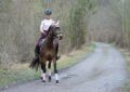 Ce sport avec un cheval… sans cheval cartonne en France, et oui, ça saute à 1,30 m