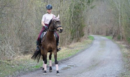 Ce sport avec un cheval… sans cheval cartonne en France, et oui, ça saute à 1,30 m