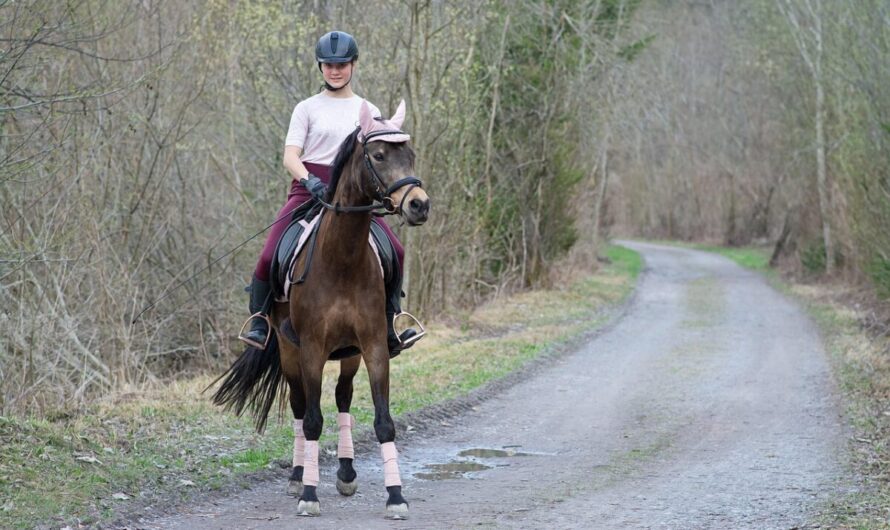 Ce sport avec un cheval… sans cheval cartonne en France, et oui, ça saute à 1,30 m