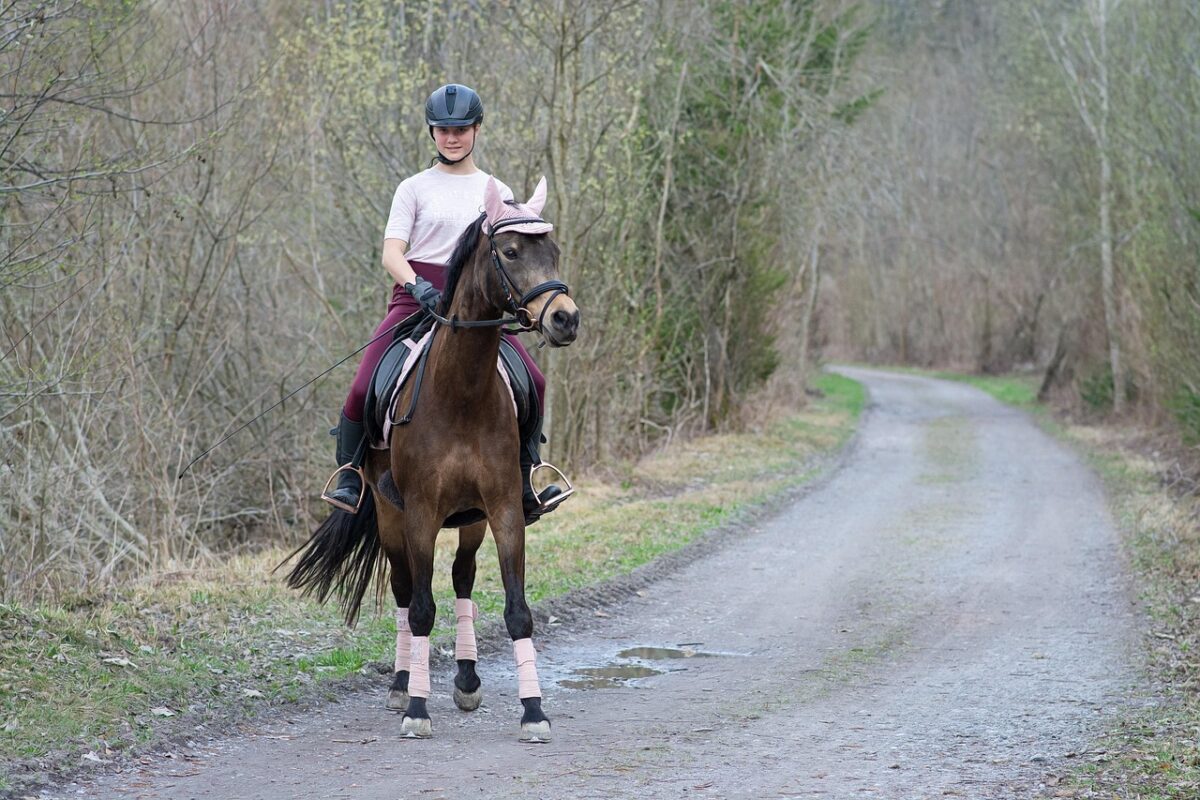 Ce sport avec un cheval… sans cheval cartonne en France, et oui, ça saute à 1,30 m