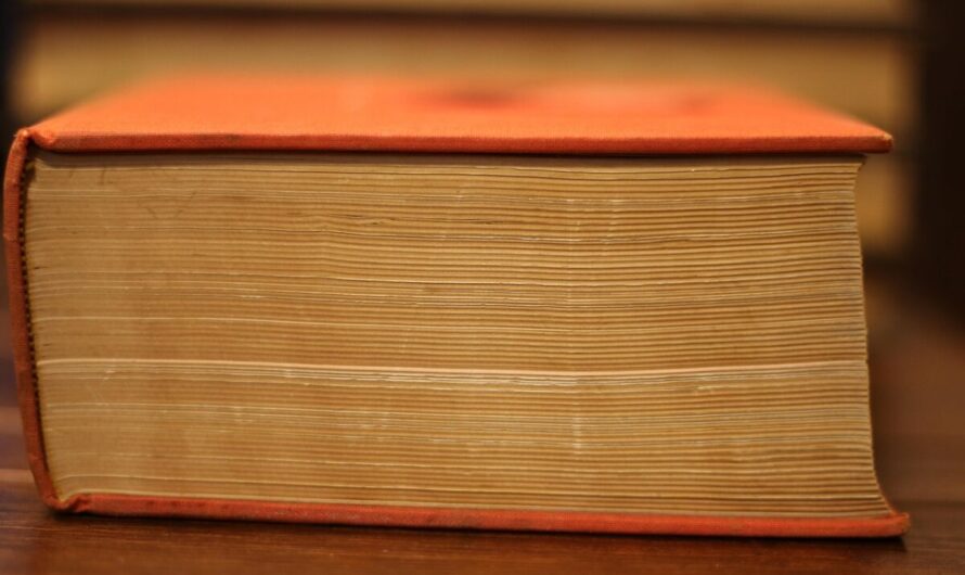 Le dictionnaire a officiellement un crush pour l’argot