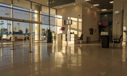 À Toulouse, un ex-rugbyman plaque un passager ivre en plein aéroport