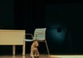 Le final de Roméo et Juliette saboté par un chat : la vidéo que je n’attendais pas