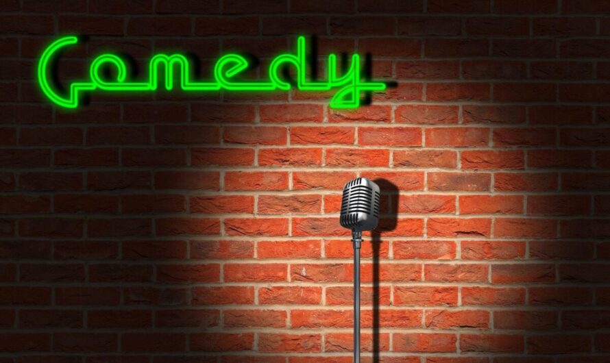 Netflix lance enfin le « roast » en France… et les champions du monde prennent feu