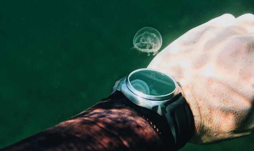 Une Pixel Watch 5 retrouvée au fond de la mer ? La fuite Google la plus absurde de l’année