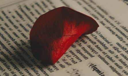 À 72 ans, elle cherche encore l’amour… et l’un de ses rendez-vous l’a carrément prise pour une femme de ménage