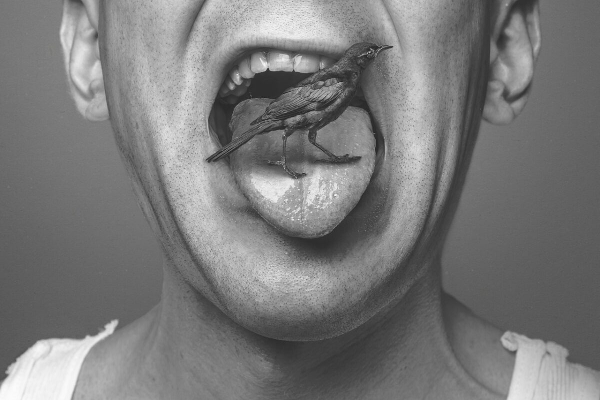 À Nairobi, l’« homme-oiseau » vit avec des rapaces… et ça inquiète les médecins