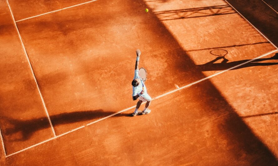 À Wimbledon, Djokovic a assisté à une demande en mariage… en plein match, évidemment