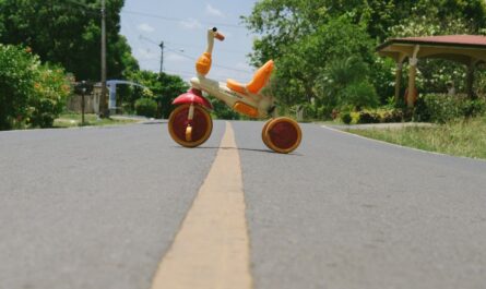 Ils vont traverser l’Amérique du Nord sur… un vélo à trois places
