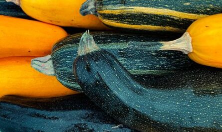 En Ariège, une fête de la courgette transforme les légumes en stars complètement déjantées