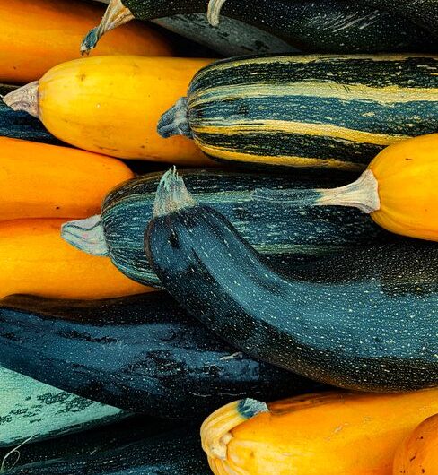 En Ariège, une fête de la courgette transforme les légumes en stars complètement déjantées