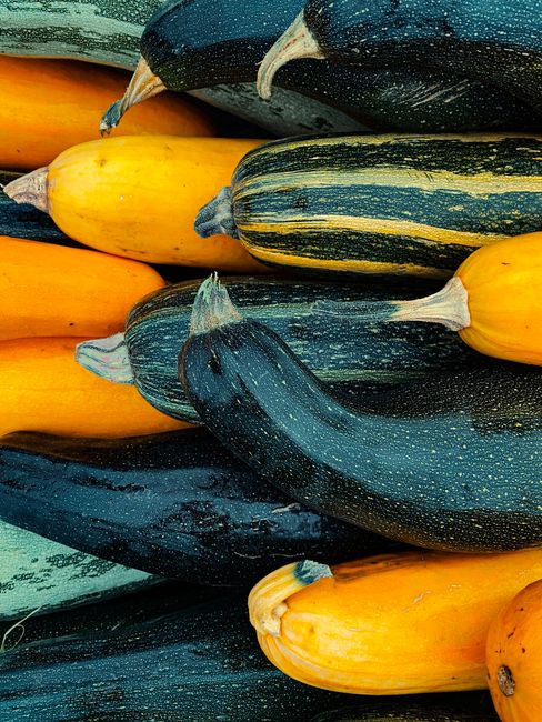 En Ariège, une fête de la courgette transforme les légumes en stars complètement déjantées