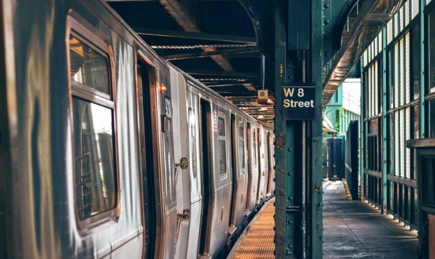 Le métro se transforme en aquarium géant: des anguilles sèment la pagaille en Chine