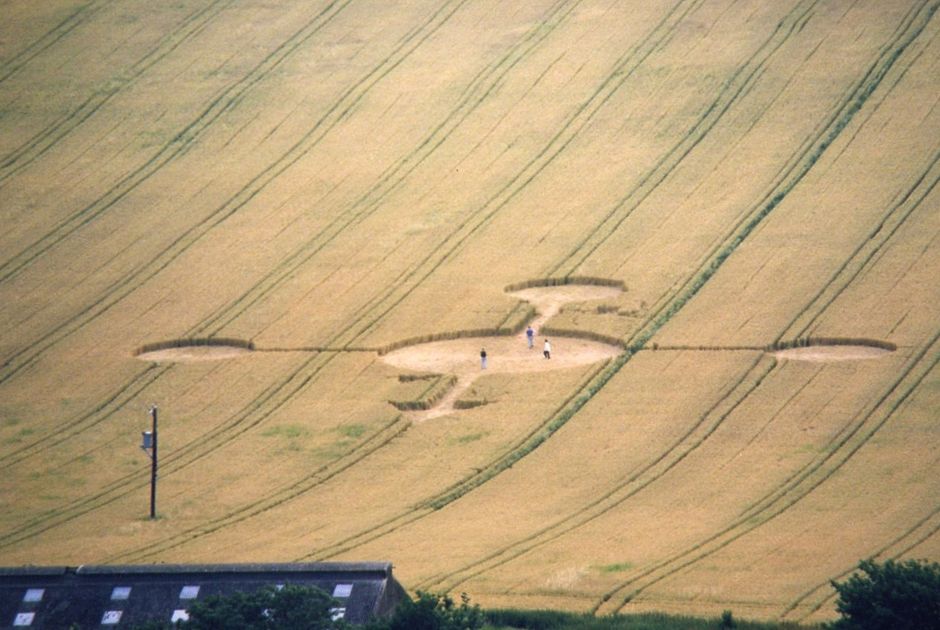 Ces mystérieux ronds blancs envahissent la Manche… et personne ne sait vraiment pourquoi
