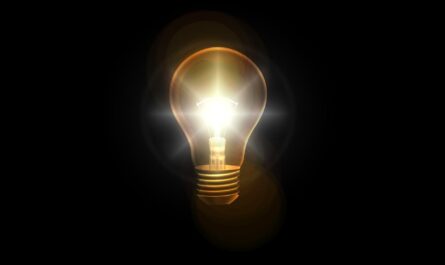 Cette habitude un peu bizarre serait un vrai signe d’intelligence, selon des chercheurs