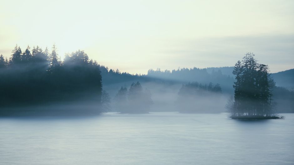 Une île fantôme couverte d’arbres est apparue au Canada… puis elle s’est volatilisée