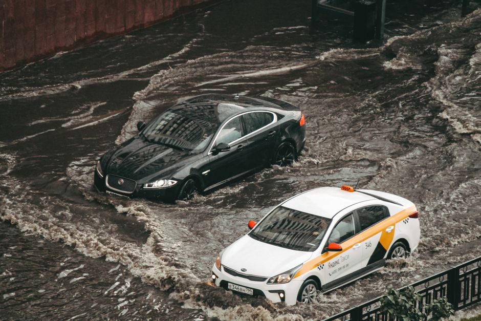 À Istanbul, une voiture s’écarte pour laisser passer… un poisson