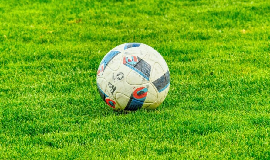 À Marseille, un sanglier marque un but et vole presque la vedette à l’OM